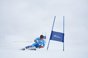 Alpine Sport Committee Elections
