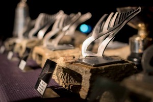 Snow Sports NZ Annual Award Nominees